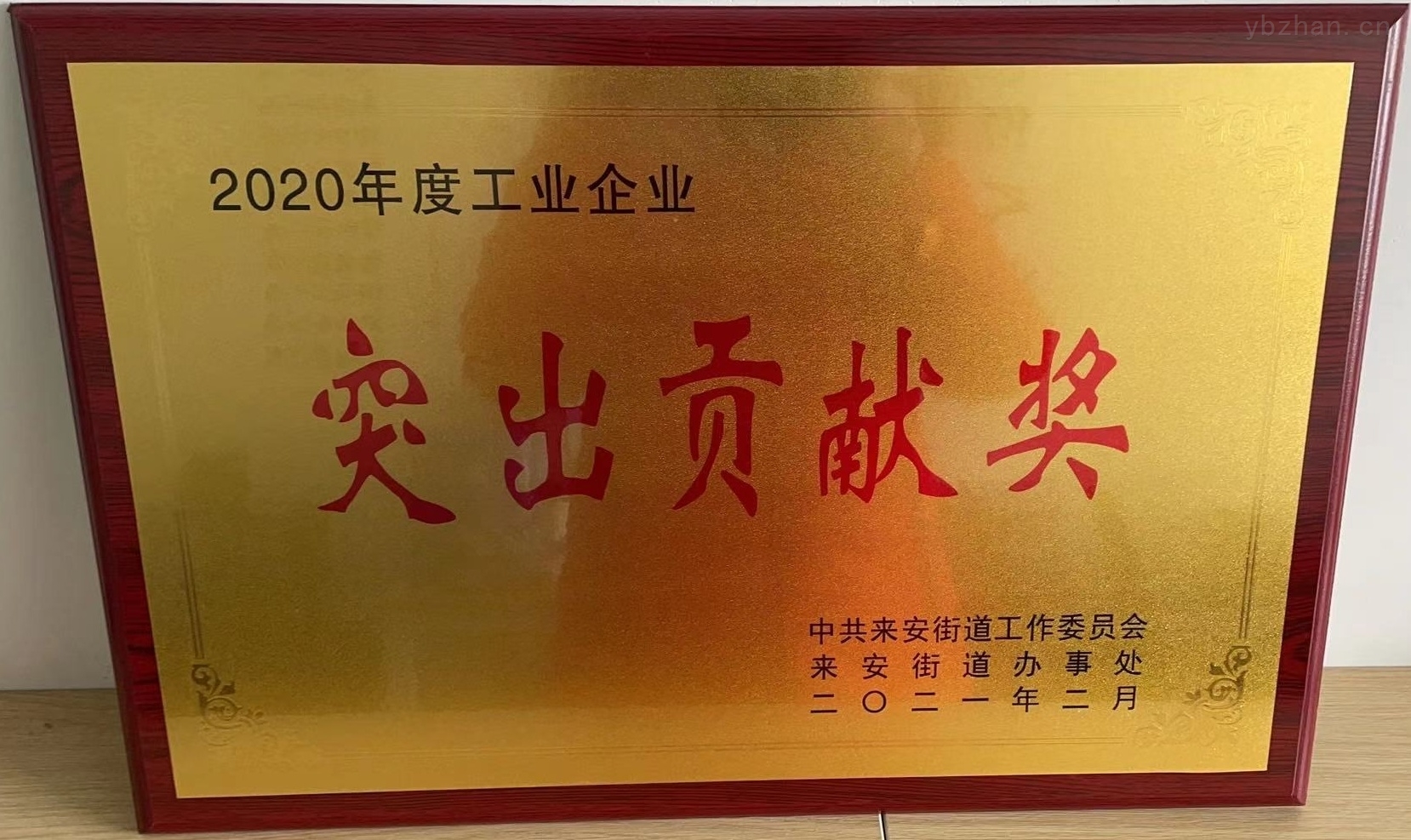 2020年度工业企业突出贡献奖